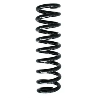 Ressort de suspension SPIDAN 86884