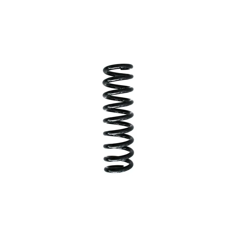 Ressort de suspension SPIDAN 86884