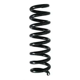Ressort de suspension SPIDAN 86885