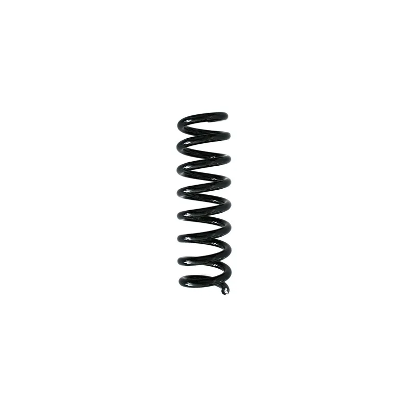 Ressort de suspension SPIDAN 86885