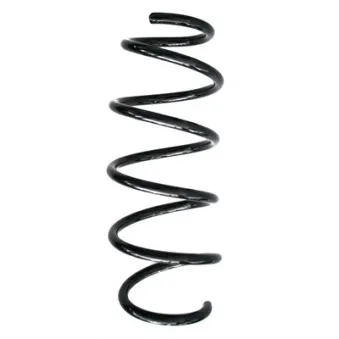 Ressort de suspension SPIDAN 86892
