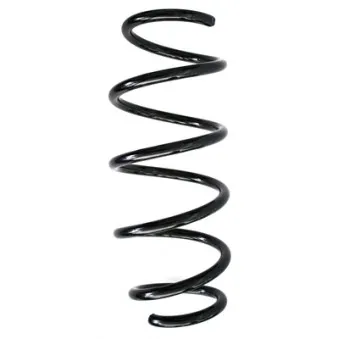 Ressort de suspension SPIDAN 86893