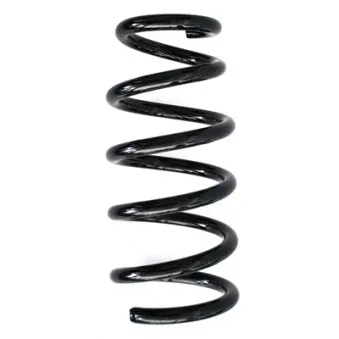 Ressort de suspension SPIDAN 86896