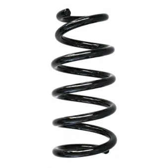 Ressort de suspension SPIDAN 86897