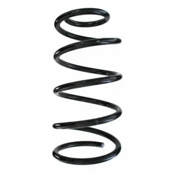 Ressort de suspension SPIDAN 86907