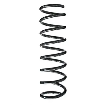Ressort de suspension SPIDAN 86909