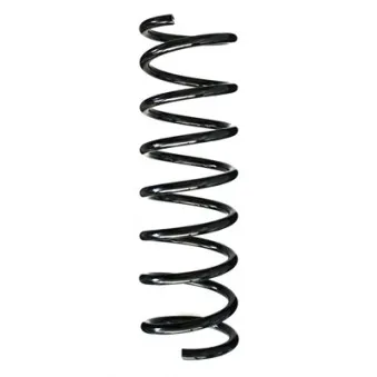Ressort de suspension SPIDAN 86910