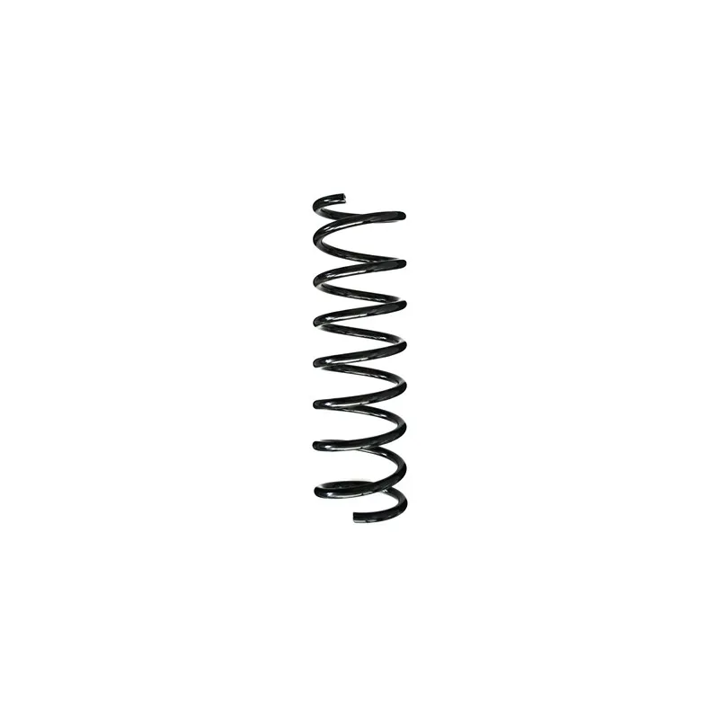 Ressort de suspension SPIDAN 86910