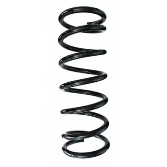 Ressort de suspension SPIDAN 86913