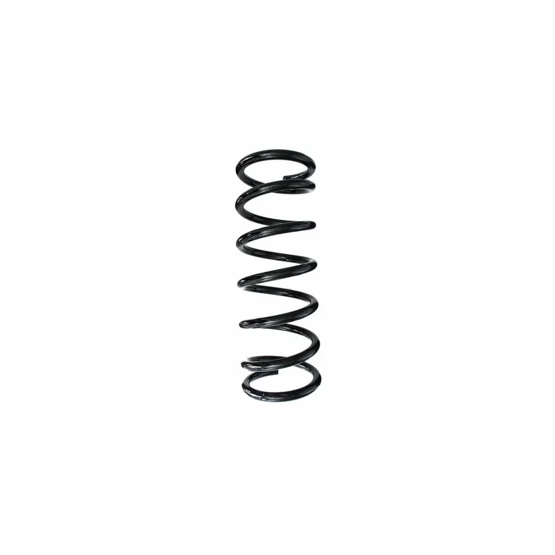 Ressort de suspension SPIDAN 86913