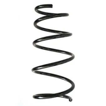 Ressort de suspension SPIDAN 86914