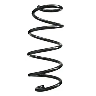 Ressort de suspension SPIDAN 86920