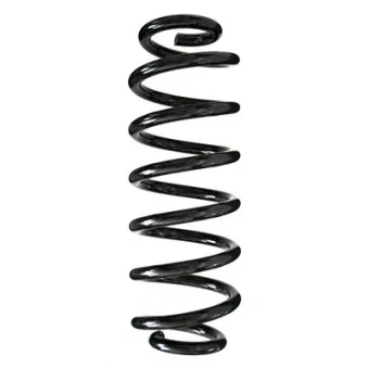 Ressort de suspension SPIDAN 86925