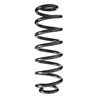 Ressort de suspension SPIDAN 86926
