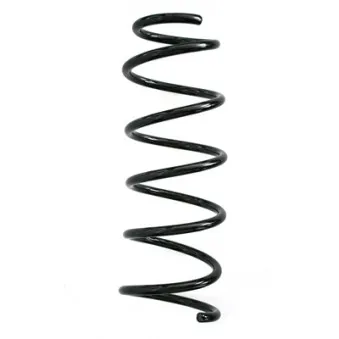 Ressort de suspension SPIDAN 86928