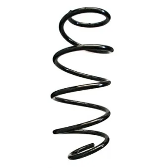 Ressort de suspension SPIDAN 86938