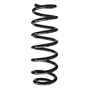 Ressort de suspension SPIDAN 86942