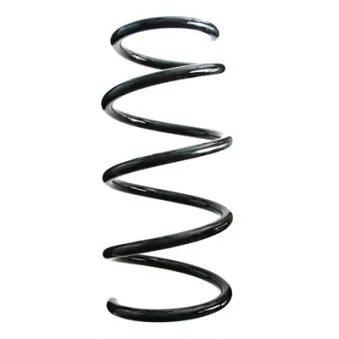 Ressort de suspension SPIDAN 86944
