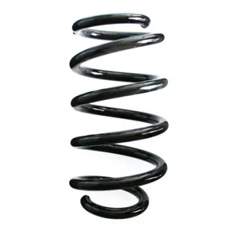 Ressort de suspension SPIDAN 86945