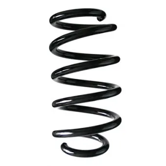 Ressort de suspension SPIDAN 86946