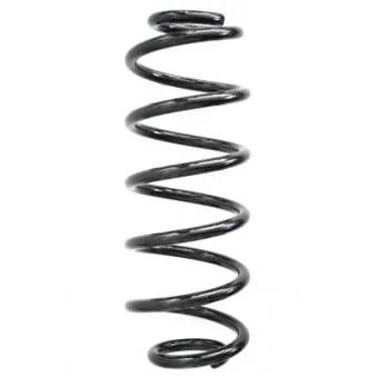 Ressort de suspension SPIDAN 86947