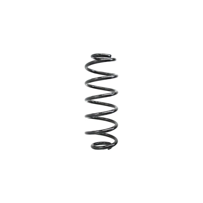 Ressort de suspension SPIDAN 86947