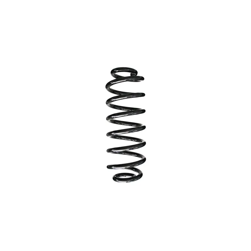 Ressort de suspension SPIDAN 86953