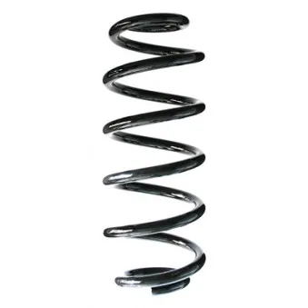 Ressort de suspension SPIDAN 86956