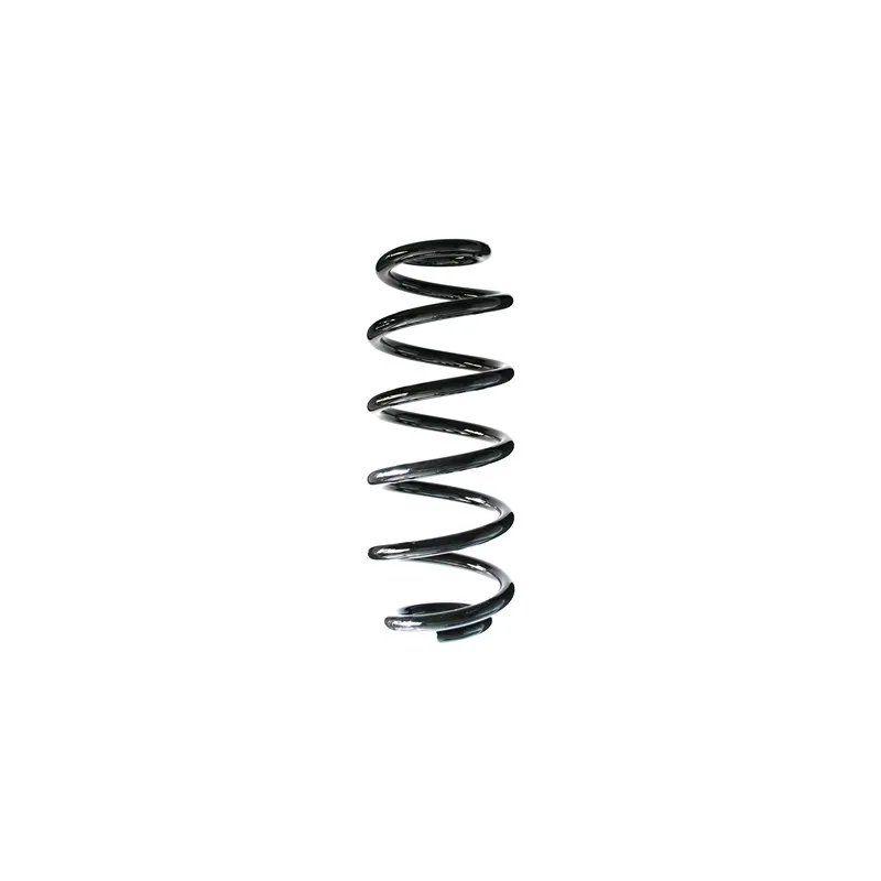 Ressort de suspension SPIDAN 86956