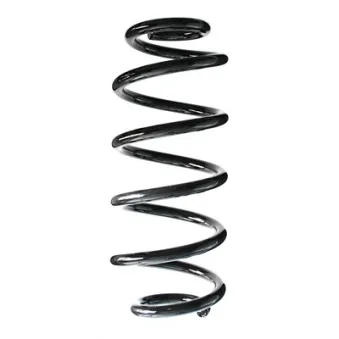 Ressort de suspension SPIDAN 86959