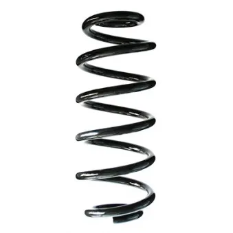 Ressort de suspension SPIDAN 86960