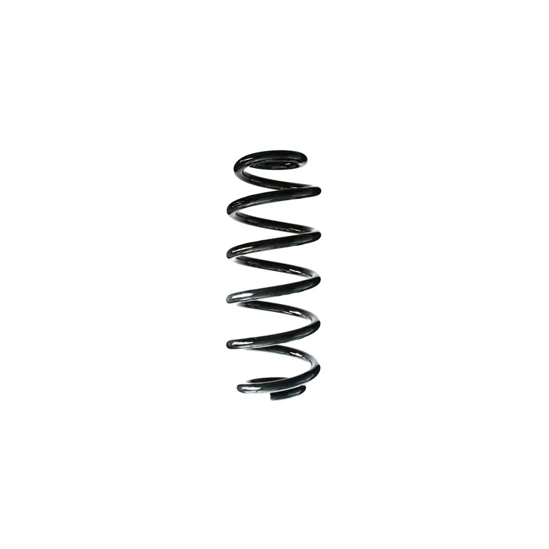 Ressort de suspension SPIDAN 86960