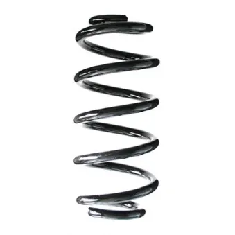 Ressort de suspension SPIDAN 86961