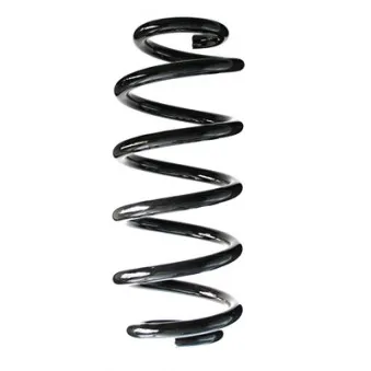 Ressort de suspension SPIDAN 86964