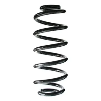 Ressort de suspension SPIDAN 86965