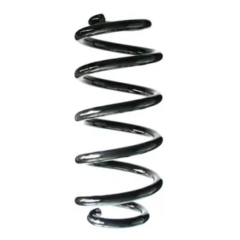 Ressort de suspension SPIDAN 86966