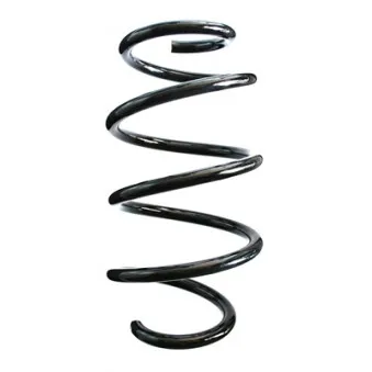 Ressort de suspension SPIDAN 86971
