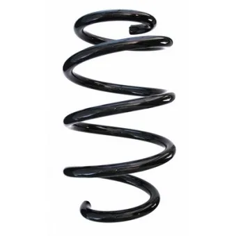 Ressort de suspension SPIDAN 86972