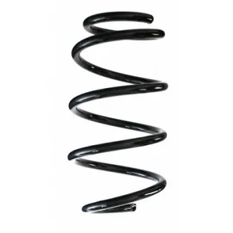 Ressort de suspension SPIDAN 86973