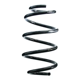 Ressort de suspension SPIDAN 86974