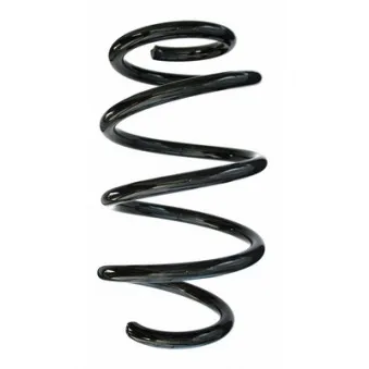 Ressort de suspension SPIDAN 86975