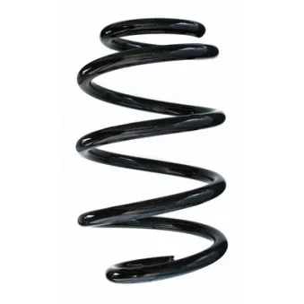 Ressort de suspension SPIDAN 86979