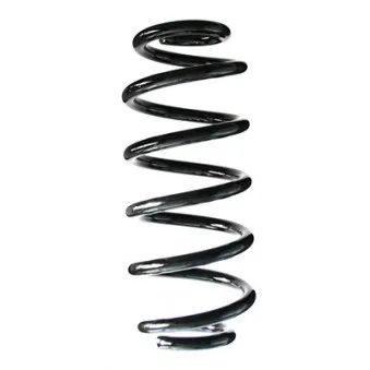 Ressort de suspension SPIDAN 86984