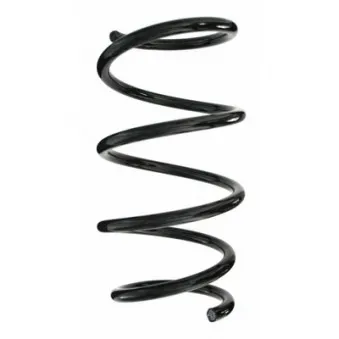 Ressort de suspension SPIDAN 86985
