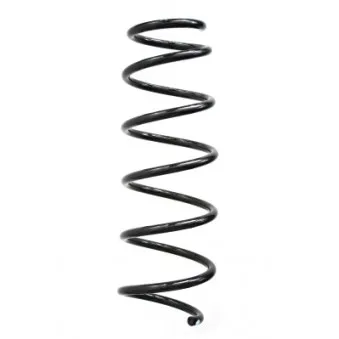 Ressort de suspension SPIDAN 86989