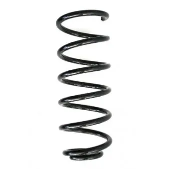 Ressort de suspension SPIDAN 86990
