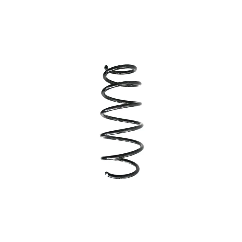 Ressort de suspension SPIDAN 86994
