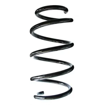 Ressort de suspension SPIDAN 86996