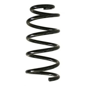 Ressort de suspension SPIDAN 86998