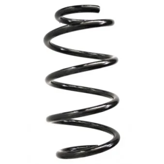 Ressort de suspension SPIDAN 86999
